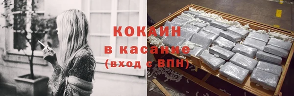 крисы Новокубанск