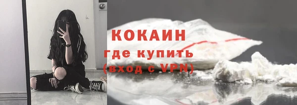 крисы Новокубанск