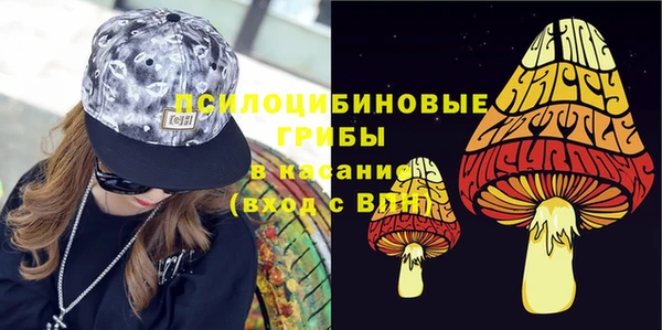 соль ск Нея