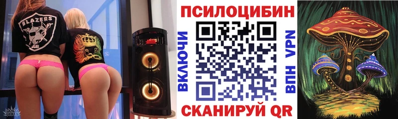 даркнет как зайти  купить   Яхрома  Псилоцибиновые грибы Psilocybine cubensis 